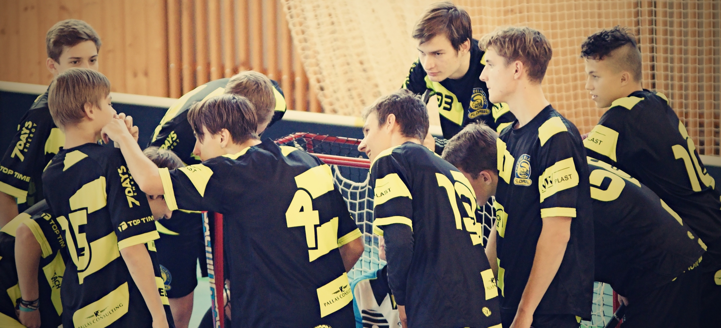 JunciLedec241015 092